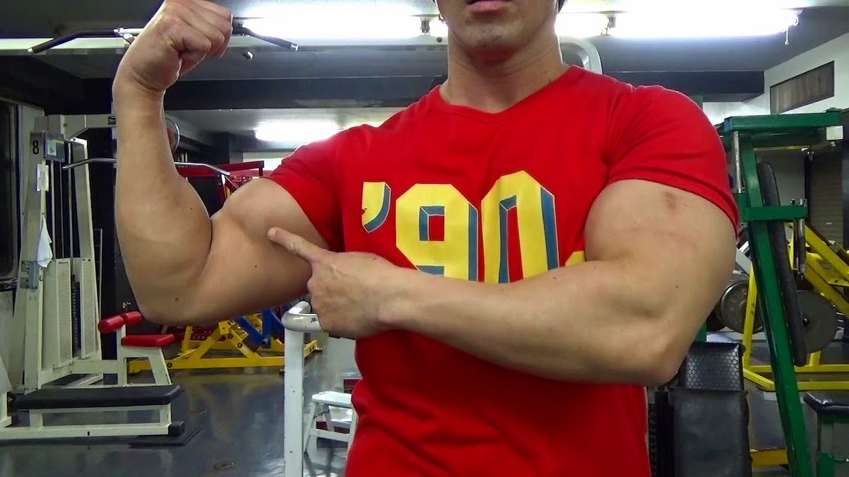 腕_二頭筋_三頭筋