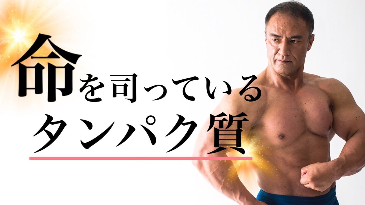 筋肉をつけるだけじゃない 山本義徳氏が語るタンパク質の真実 マッチョ