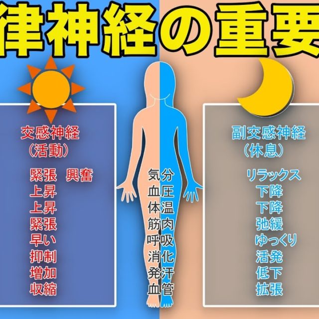 自律神経が不調になる原因とは？どんな症状が出る？【自律神経失調症チェック】 マッチョ！