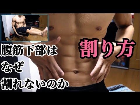 なぜ腹筋下部だけ割れないのか、どうして腹筋が割れないのか【鍛え方】