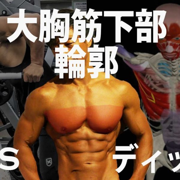 大胸筋下部を鍛えるディップスDIPS５つのポイントと２つの注意点。胸のトレーニング。