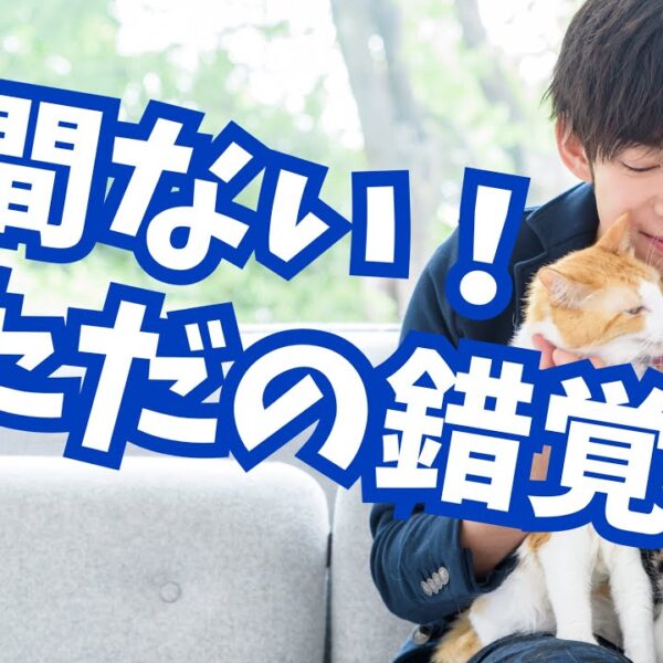 いつも時間が足りなくなる【ゴールコンフリクト】現象とは