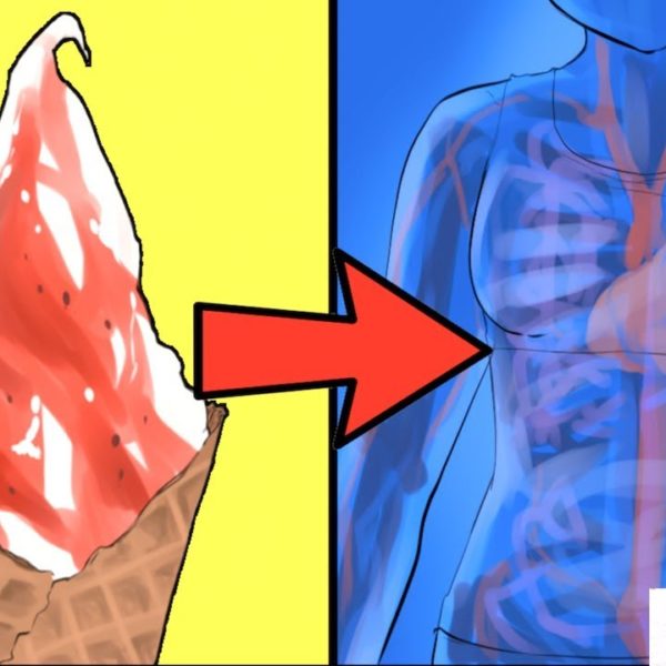 【衝撃】１週間砂糖抜きの生活をしたらどうなるのか？