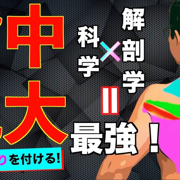 【筋トレ】背中の「幅」と「厚み」を出すトレーニング方法を解説。　科学で背中を変えましょう！【背中肥大