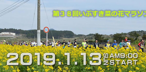 おもてなし日本一！いぶすき菜の花マラソン2019【マラソン大会情報】